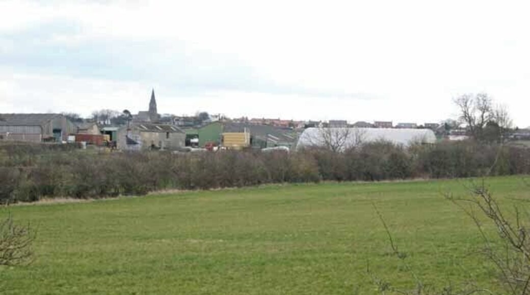 West Rainton Stables Farm Seen from the Leamside Line bridge. West Rainton church NZ3246 can be seen on the skyline.