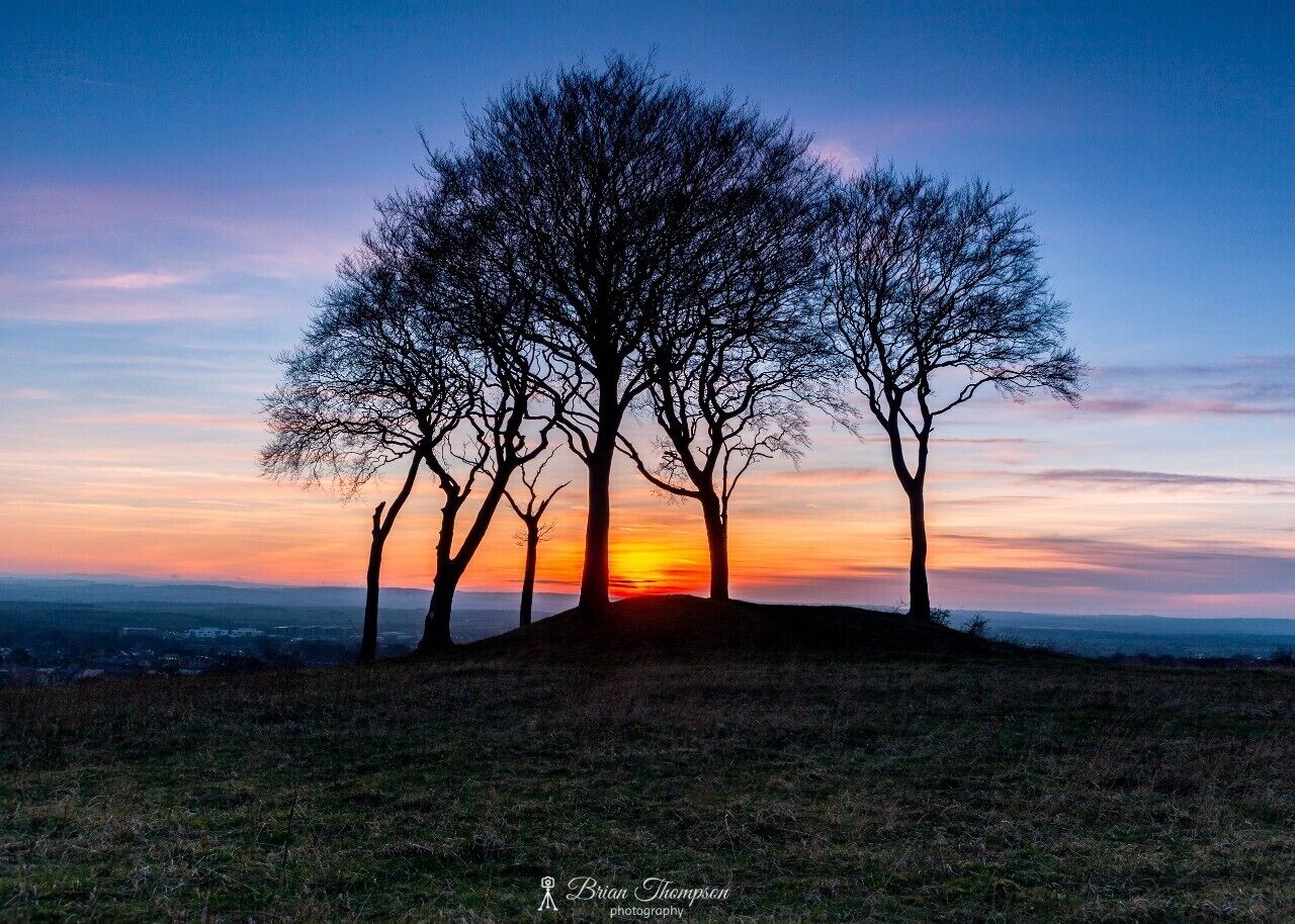 Sunset at the Seven Sisters, the trees of which there are now only six sit atop a round barrow burial site, more info here https://historicengland.org.uk/listing/the-list/list-entry/1018680