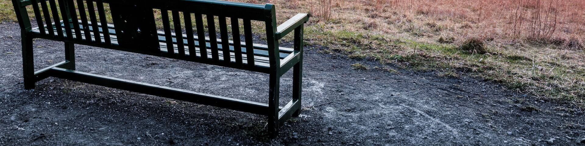 First image of the year for me