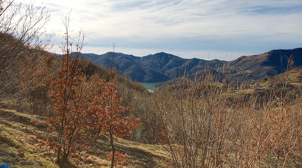 'Frammento' del Brugneto, dalla provinciale 15