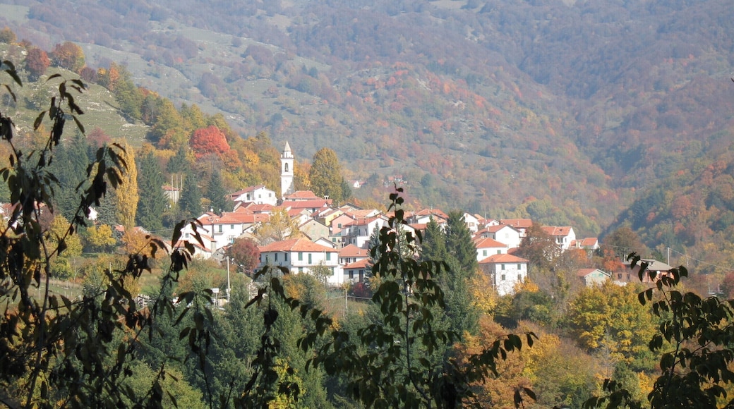 Panorama di Bavastrelli, frazione del comune di Propata, in Alta valle Trebbia, provincia di Genova, Liguria, Italia Camera location 44° 33âČ 32.3âł N, 9° 10âČ 38.4âł E View this and other nearby images on: OpenStreetMap - Google Earth 44.558972; 9.177333