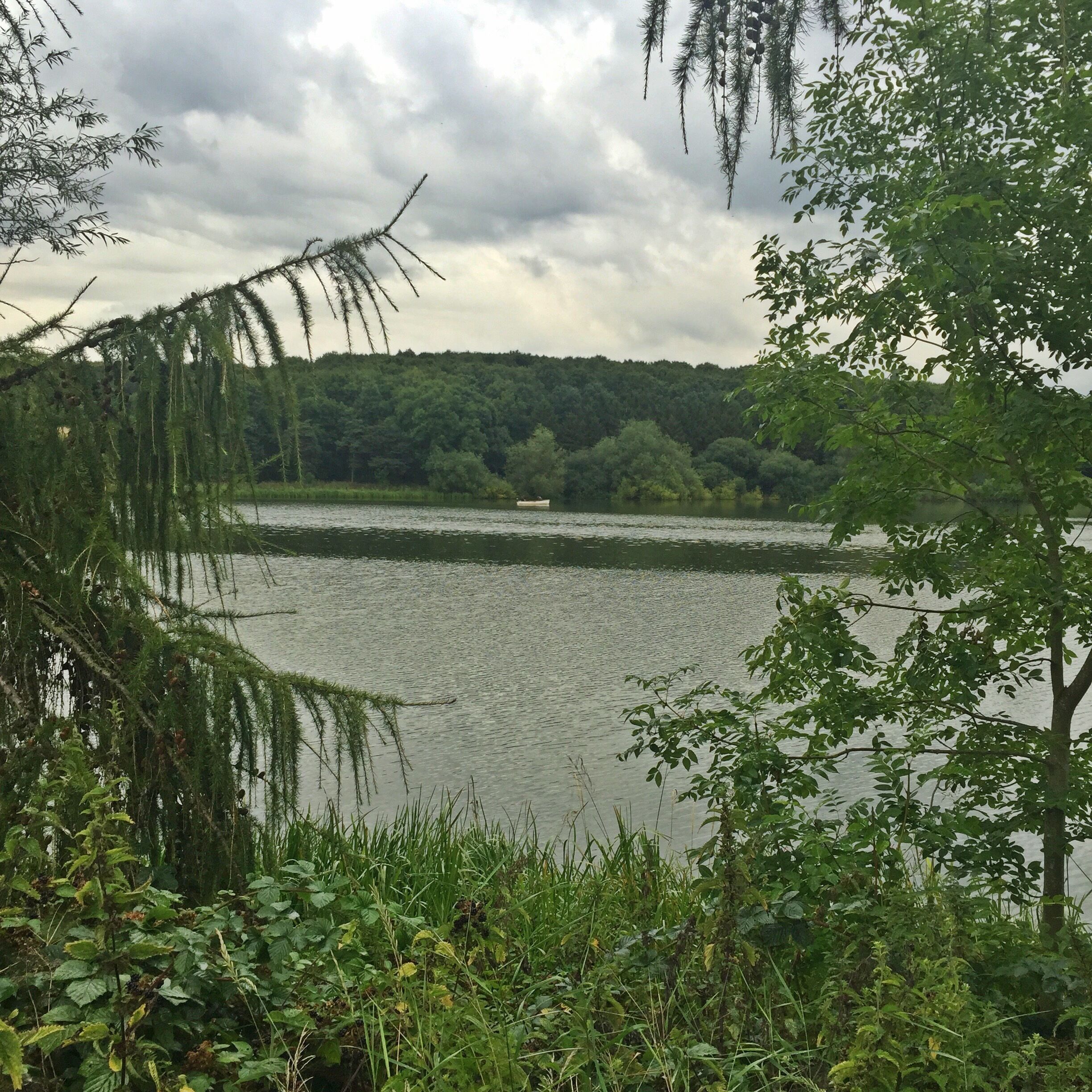 Taken at Thornton Reservoir in Leicestershire, UK.
#Midlands #Leicestershire #Thornton #Reservoir #Lake #Woodlands