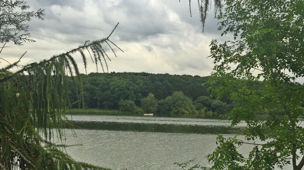 Taken at Thornton Reservoir in Leicestershire, UK.
#Midlands #Leicestershire #Thornton #Reservoir #Lake #Woodlands