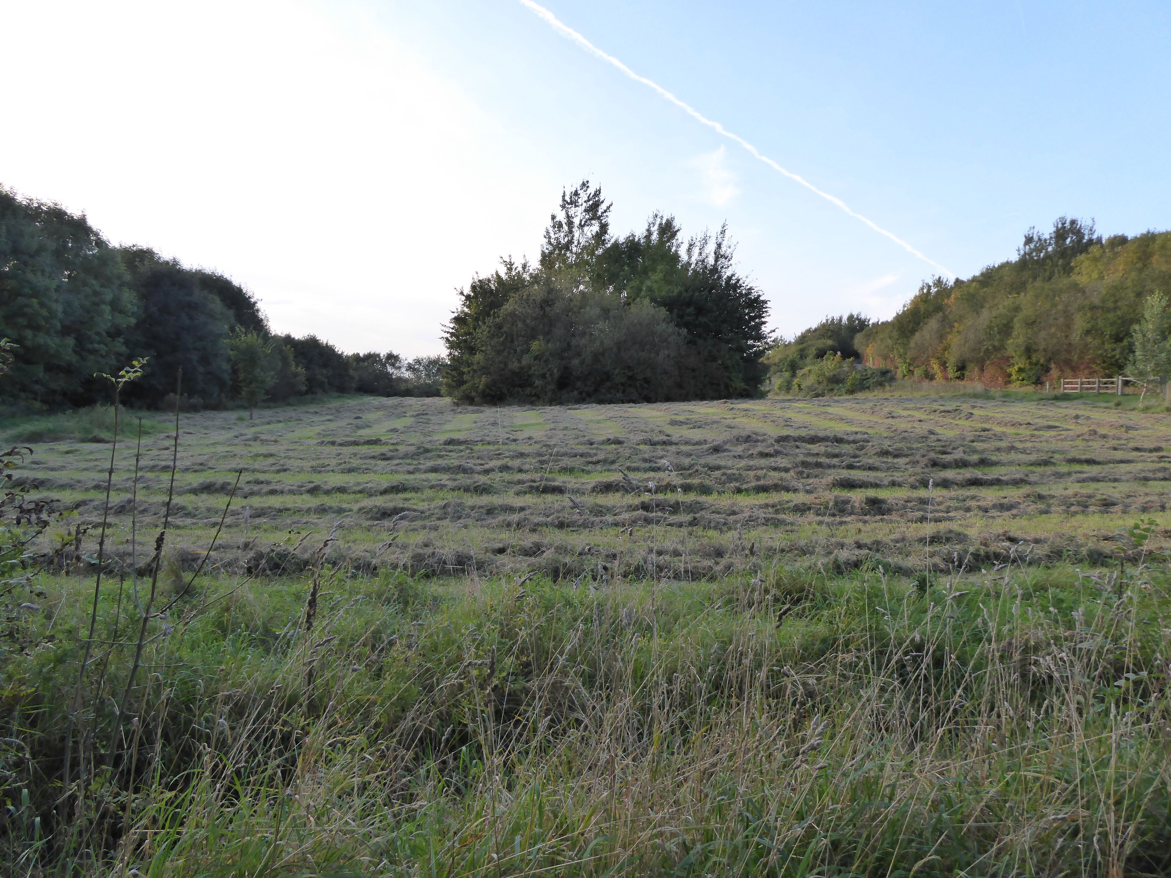 <h2>依水而居的热门住宿</h2>