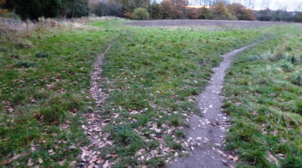 Coalville Meadows is a Site of Special Scientific Interest north-east of Coalville in Leicestershire.