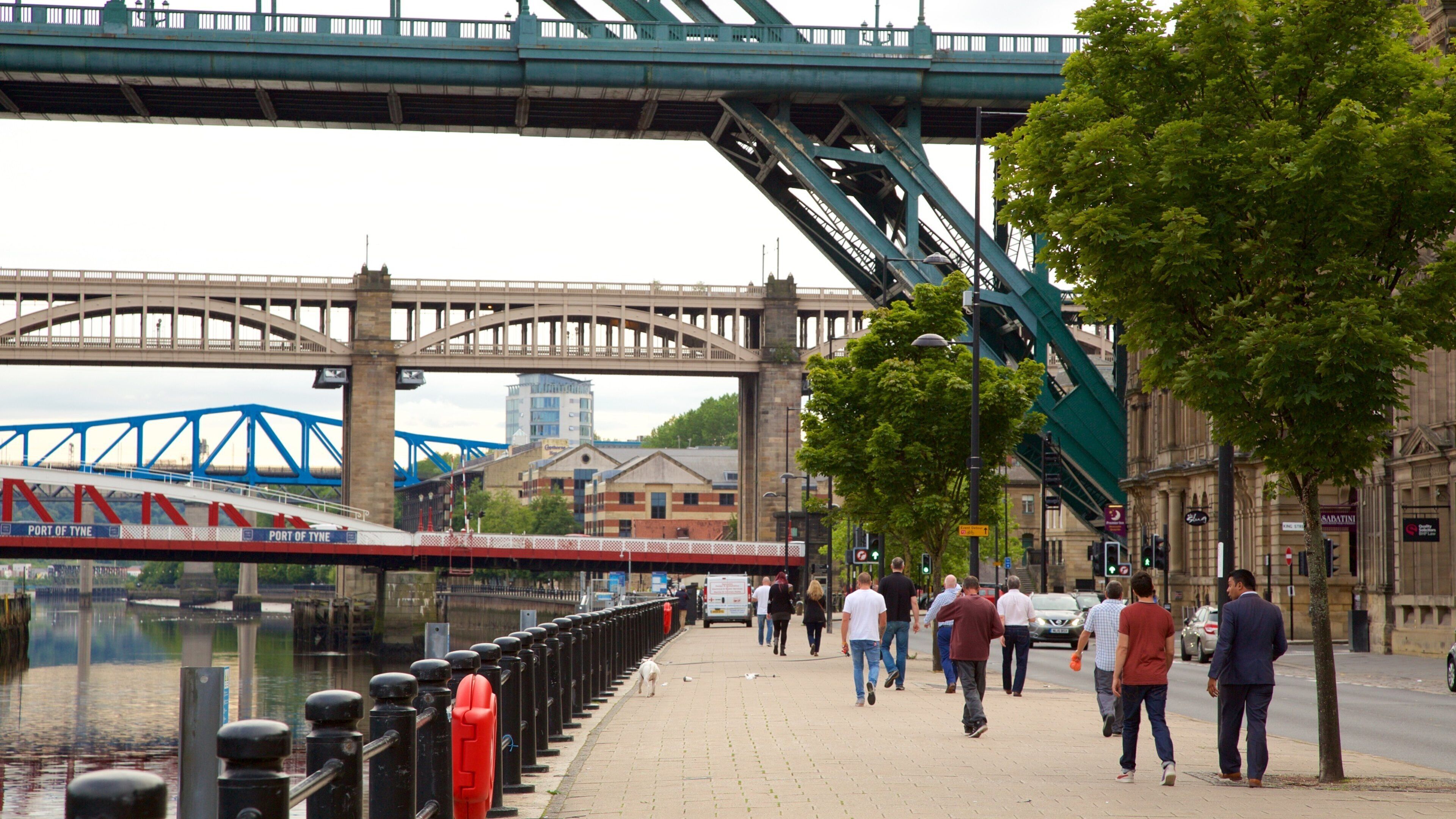 Quayside which includes a bridge, a river or creek and street scenes