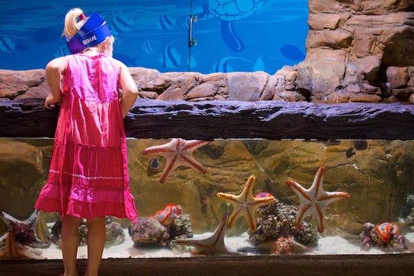 A person in a pink dress and blue headband observing a large aquarium with starfish and coral.