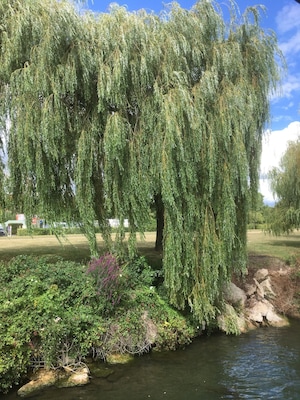 3 hours boat cruise along the river seine in thé yvelines , bring your picnic , relaxing three hours