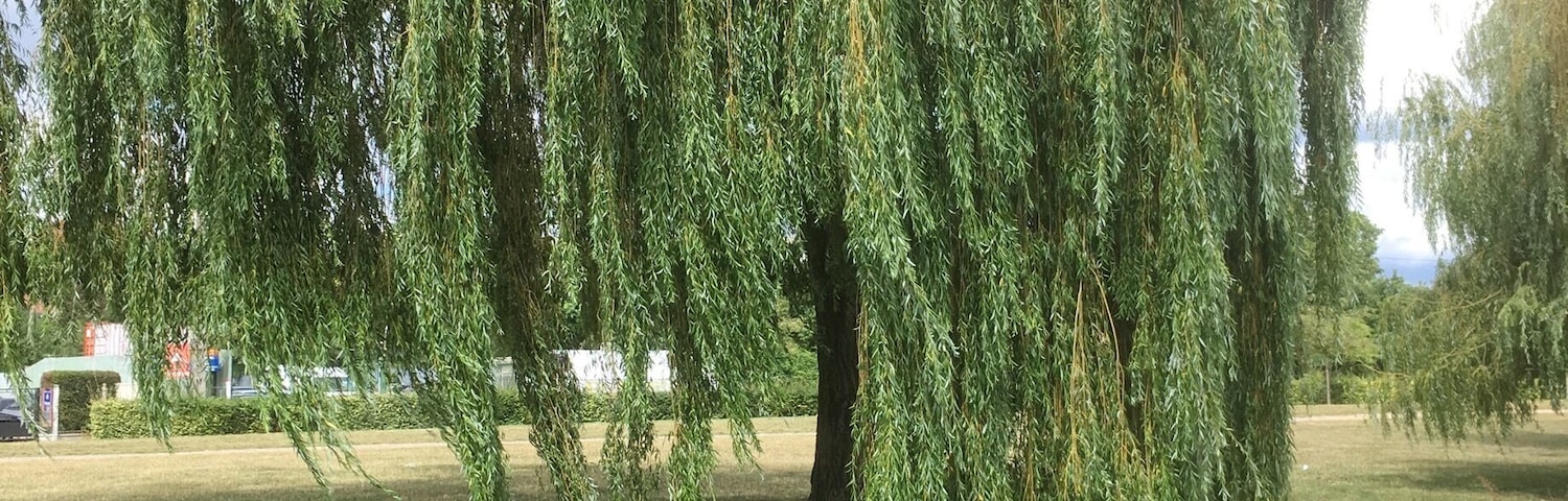 3 hours boat cruise along the river seine in thé yvelines , bring your picnic , relaxing three hours