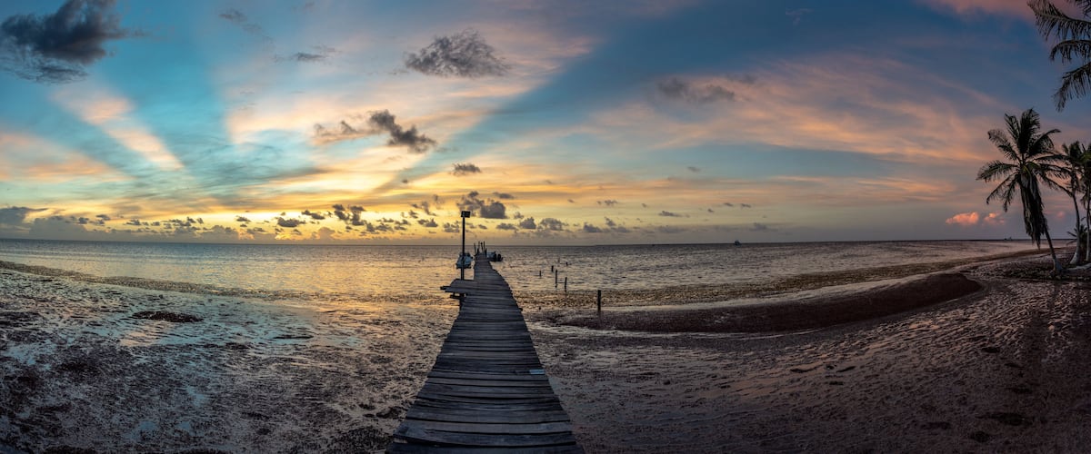 A wooden pier leading to a beach with palm trees and a sunset.