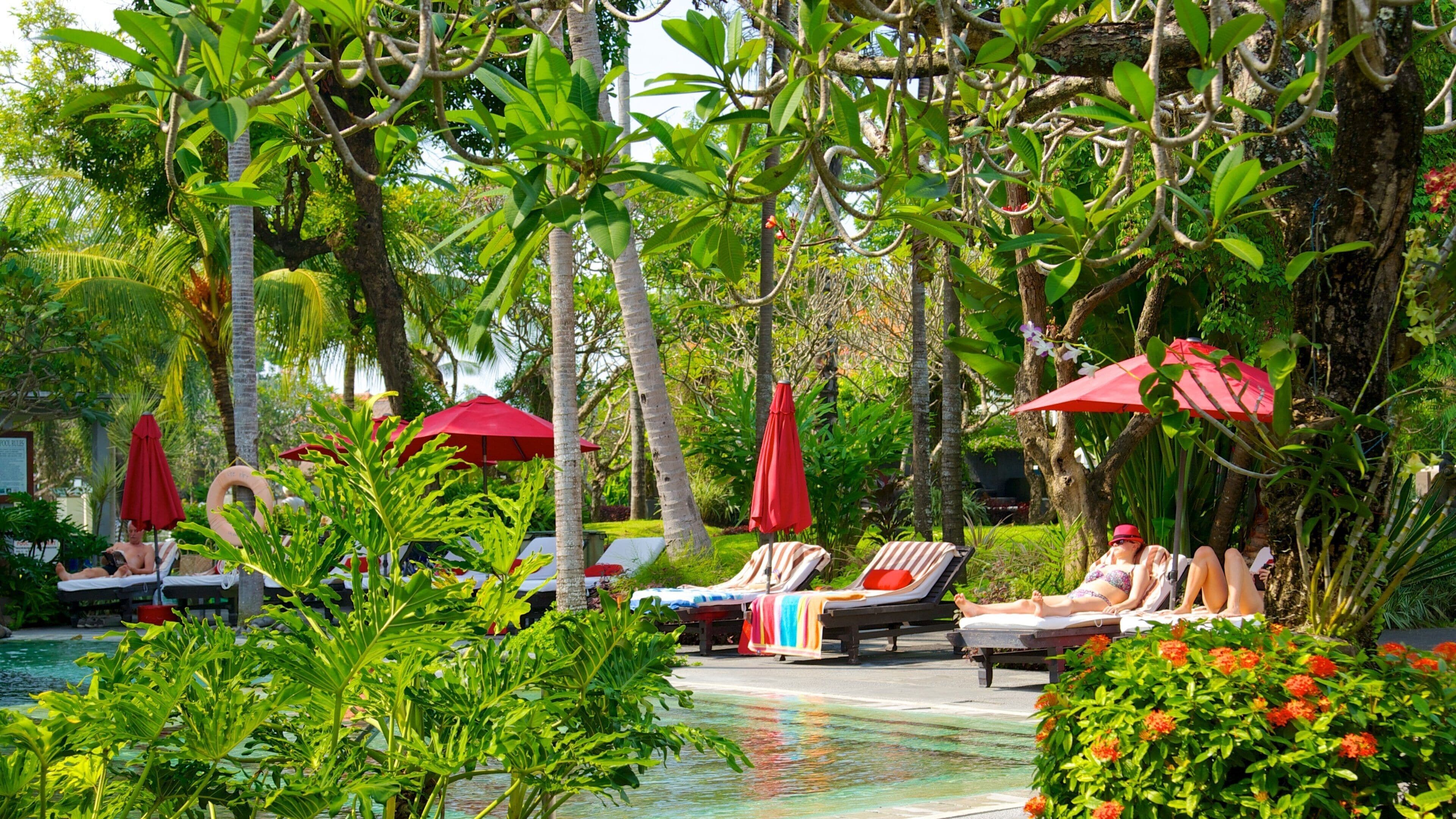 Segara 海灘 呈现出 豪華飯店或度假勝  地 和 泳池