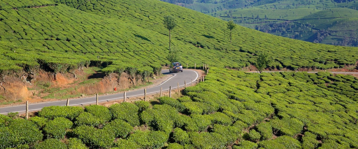 Idukki District featuring landscape views and tranquil scenes
