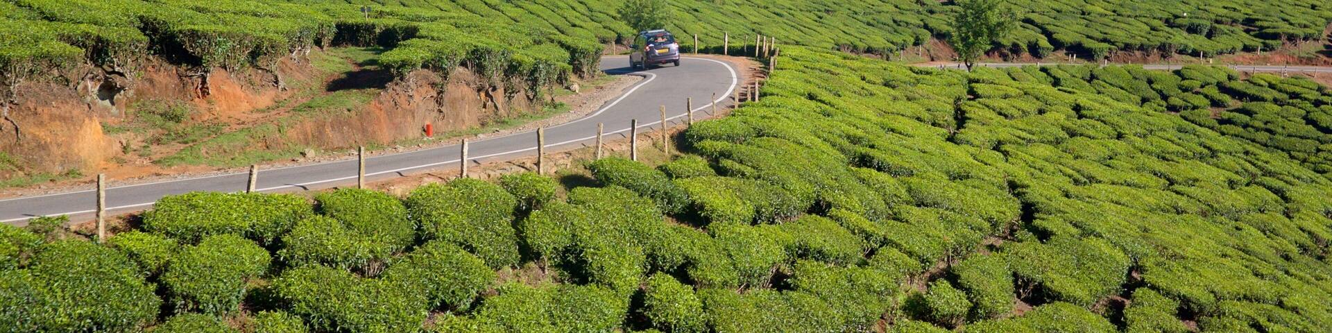 Idukki District showing tranquil scenes and landscape views