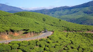 A winding road through lush green tea plantations with rolling hills in the background.