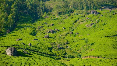 District d\'Idukki