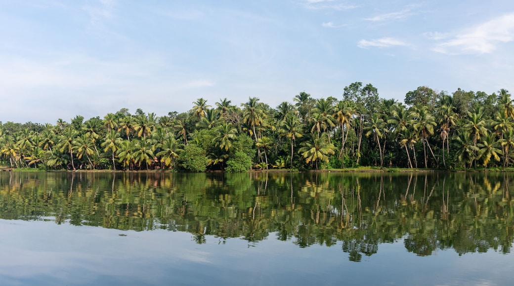 Panorama des backwaters, Munroe Island, Kerala, Inde