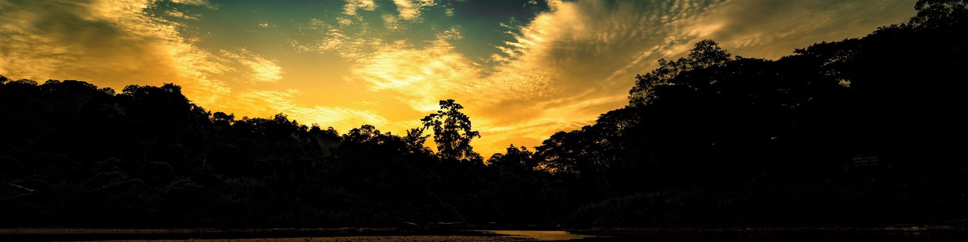 The 130 million years old virgin rainforest slowly going to sleep ..
#jungle #rainforest #savetheearth