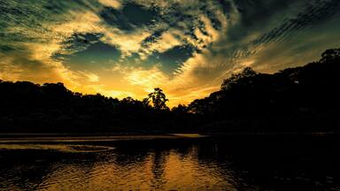 The 130 million years old virgin rainforest slowly going to sleep ..
#jungle #rainforest #savetheearth