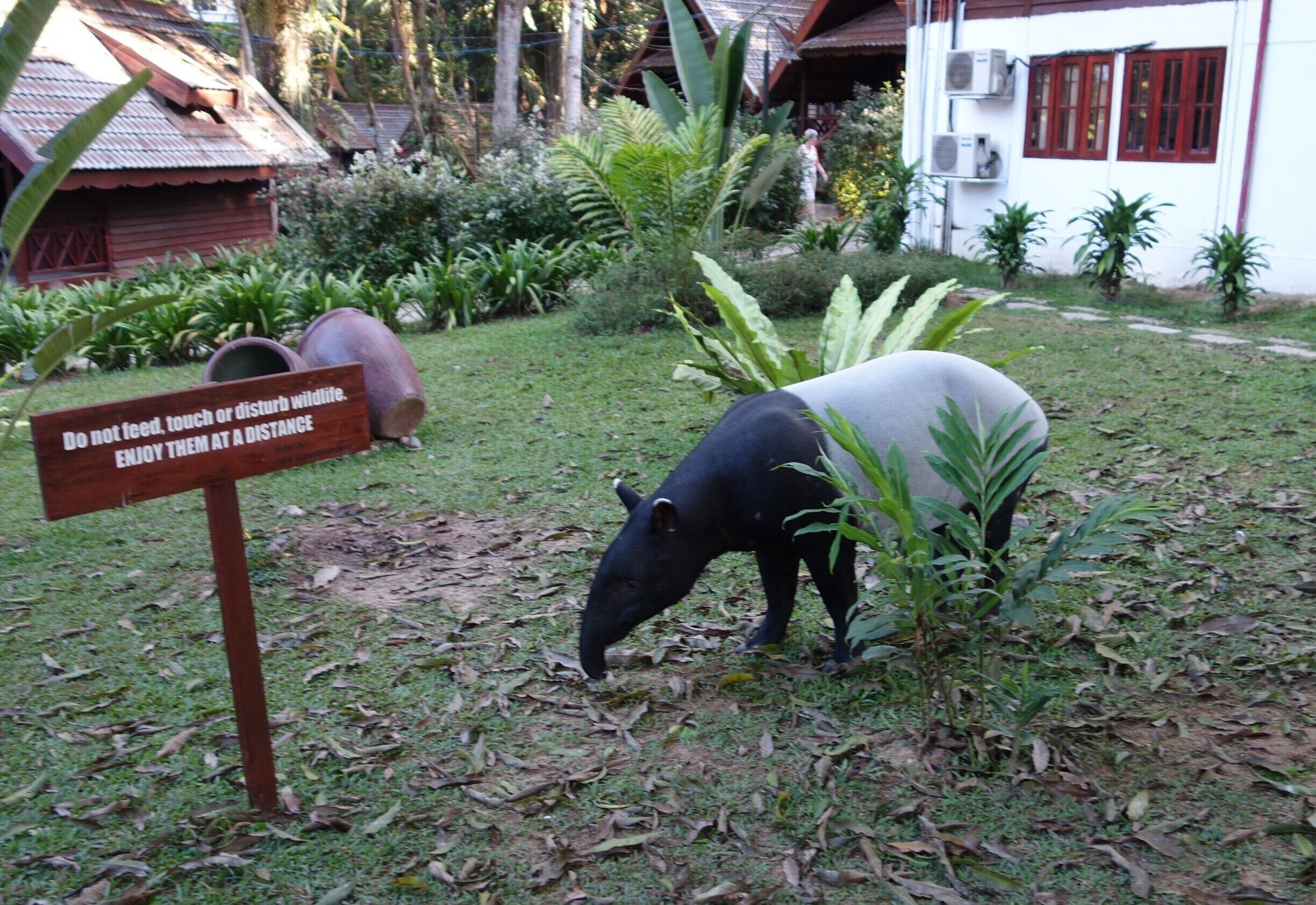 All kinds of wildlife anywhere ...