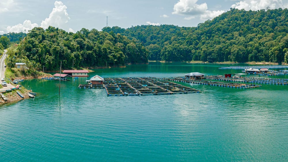 Aerial drone view of Kenyir Lake or Tasik Kenyir which is located at Kuala Berang in Hulu Terengganu, Terengganu, Malaysia