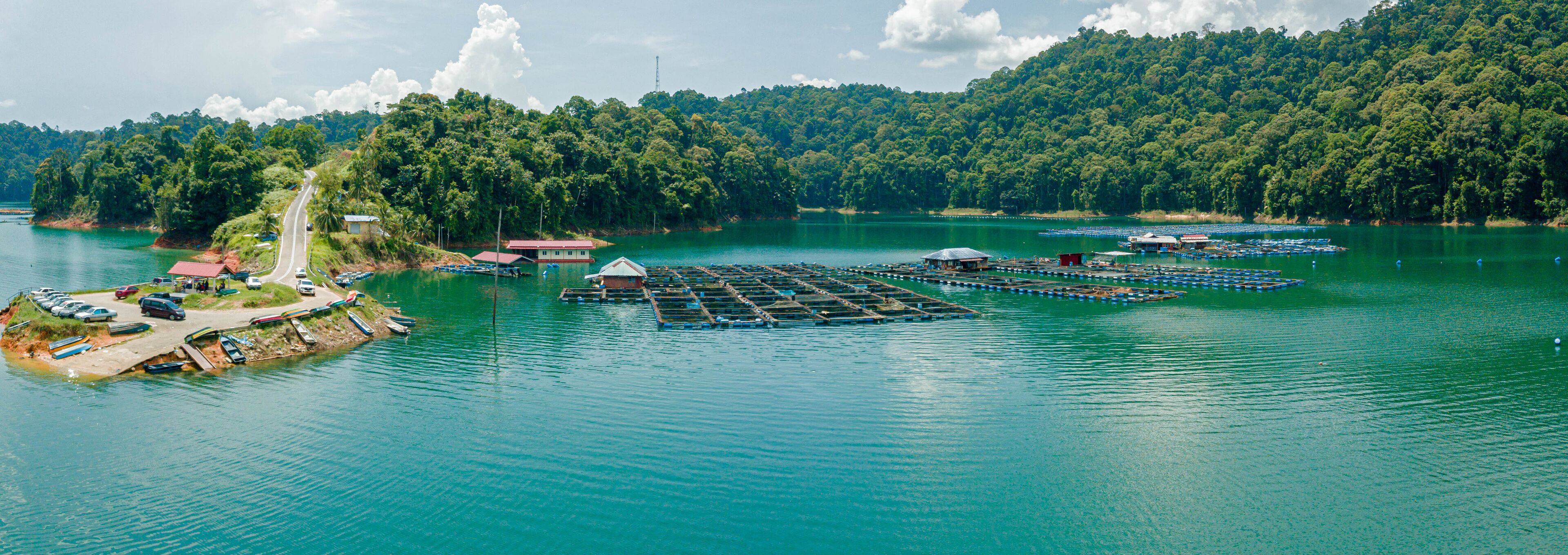 A lake with floating platforms, a dock with boats, and a forested hill in the background.
