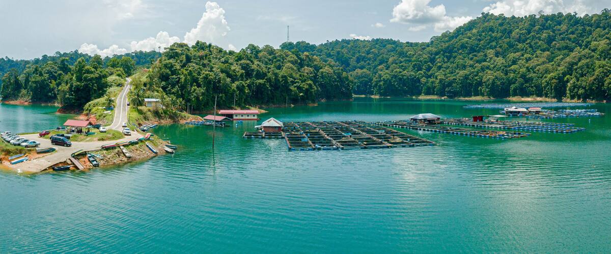 A lake with floating platforms, a dock with boats, and a forested hill in the background.