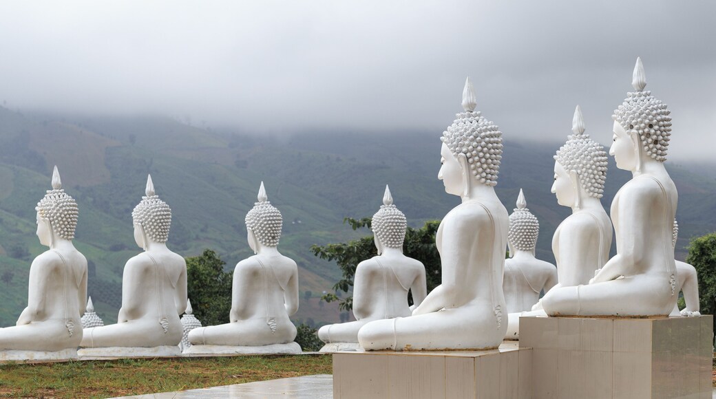 UNSEEN Thai New Series. Buddha statues on the mountain at Phu Phra Ban Mak Khaeng, Dan Sai, Loei, Big Buddha, rice field