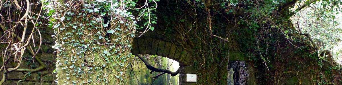 I resti della Mola della Cava o "Ceccarelli"