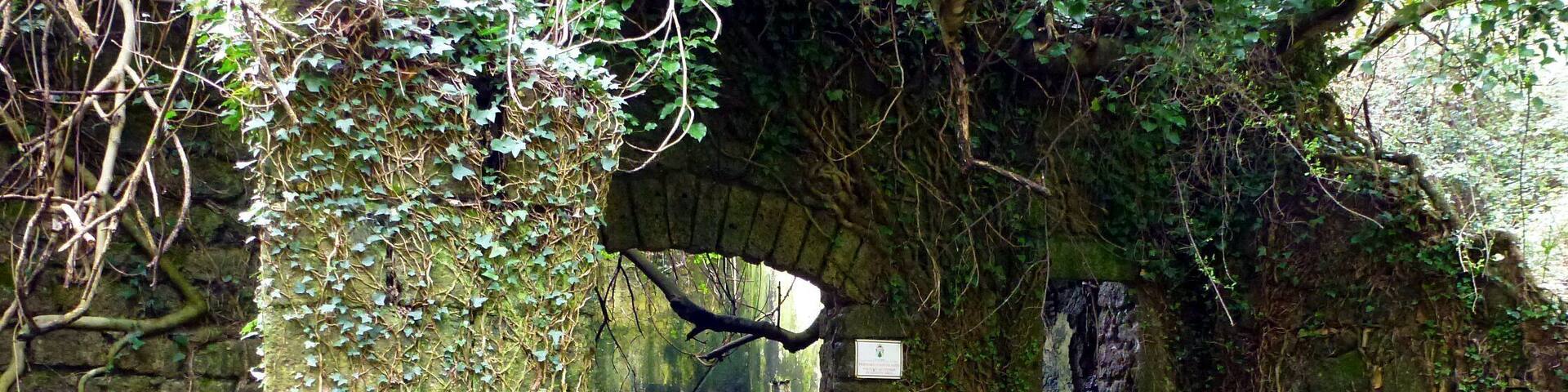 I resti della Mola della Cava o "Ceccarelli"