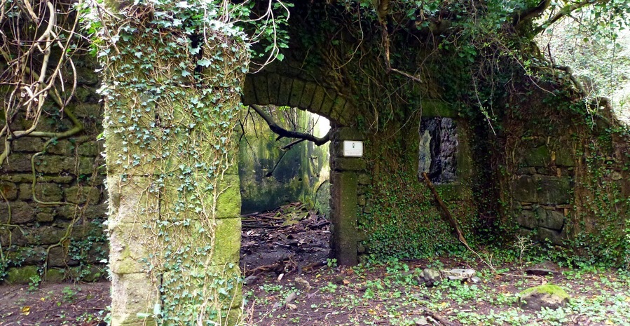 I resti della Mola della Cava o "Ceccarelli"