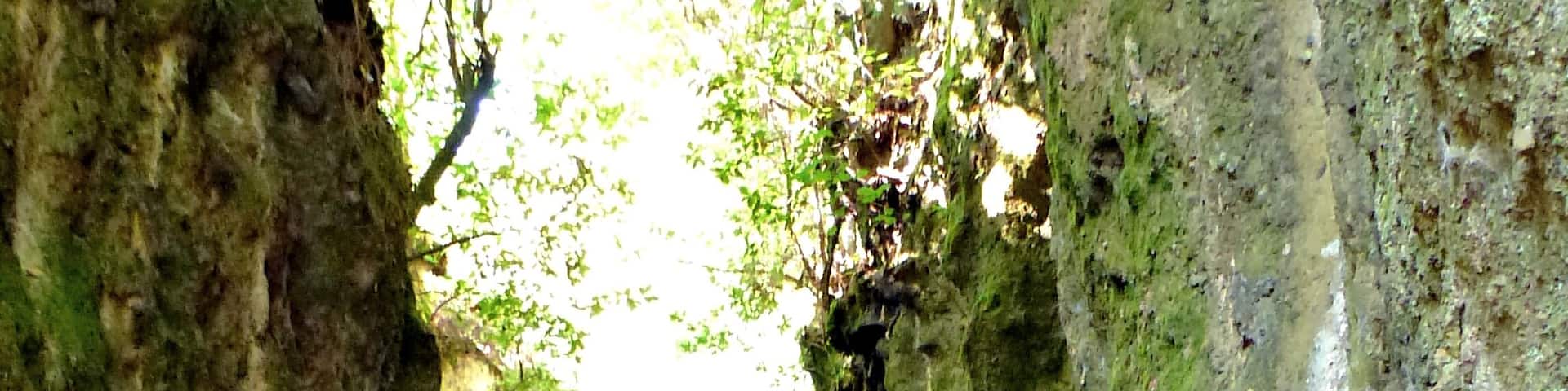 La tagliata etrusca per Caere detta "Il Cavone" a Monterano