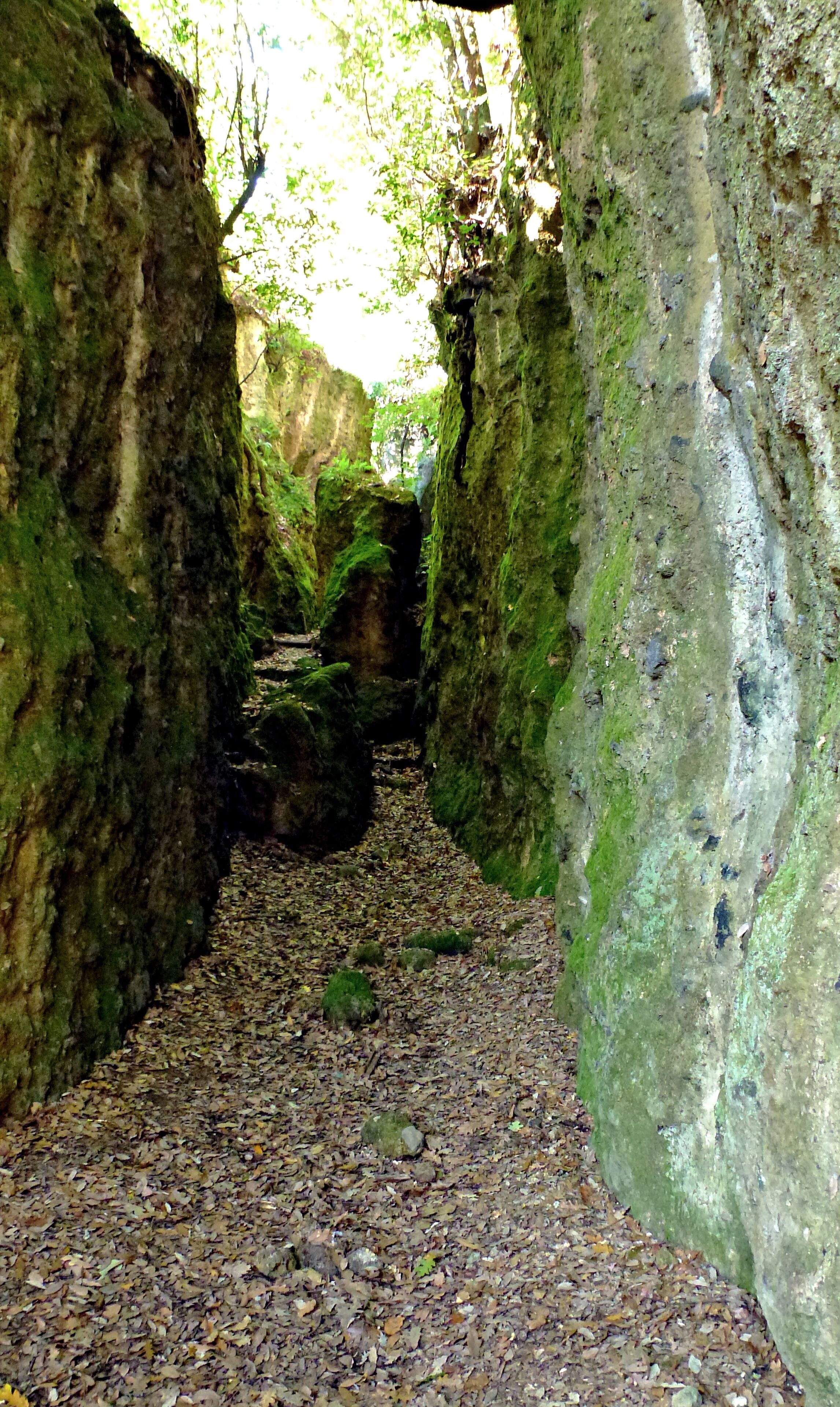 A narrow, rocky path flanked by moss-covered stone walls, leading through a forested area.