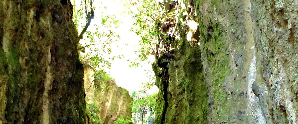 A narrow, rocky path flanked by moss-covered stone walls, leading through a forested area.