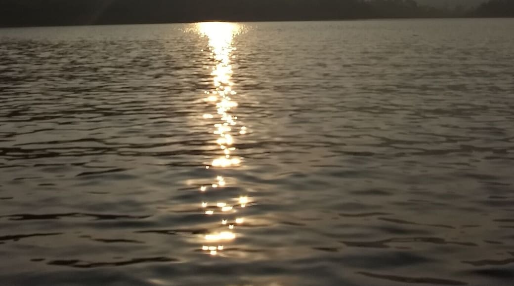 Never thought Alwar could be so beautiful. What I loved about this place was it's peace and serenity. You could sit beside the lake for hours.