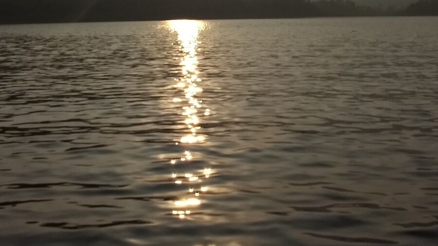 Never thought Alwar could be so beautiful. What I loved about this place was it's peace and serenity. You could sit beside the lake for hours.