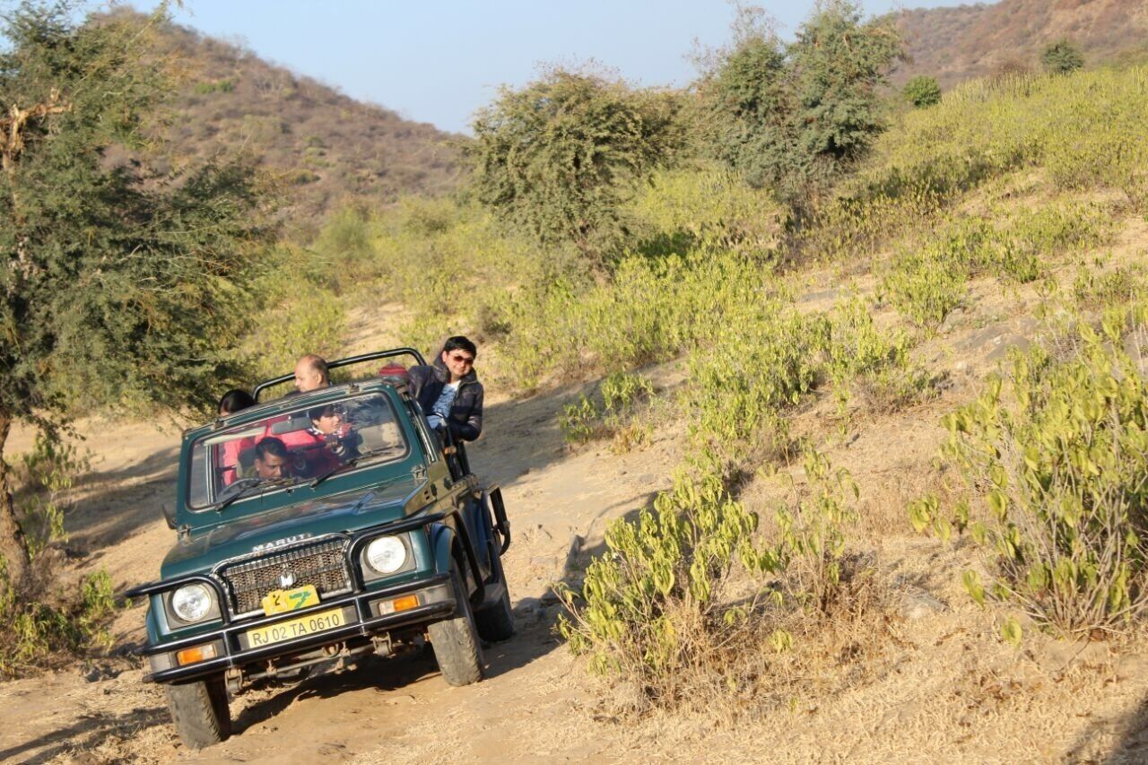 Jungle safari (Sariska tiger park) ,Rajasthan India 