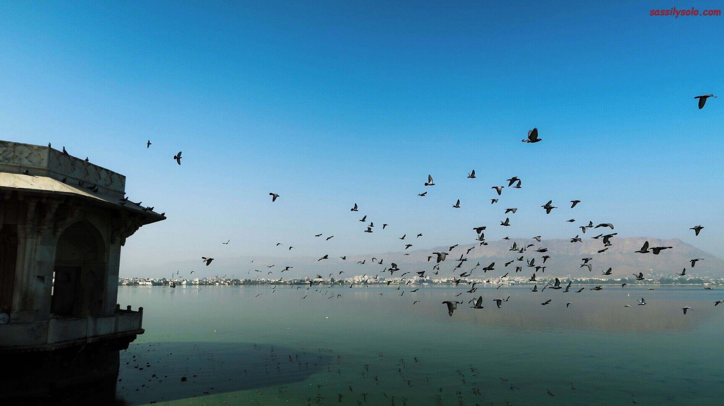 What not to miss when in Ajmer ....... a long walk beside the Anasagar Lake....