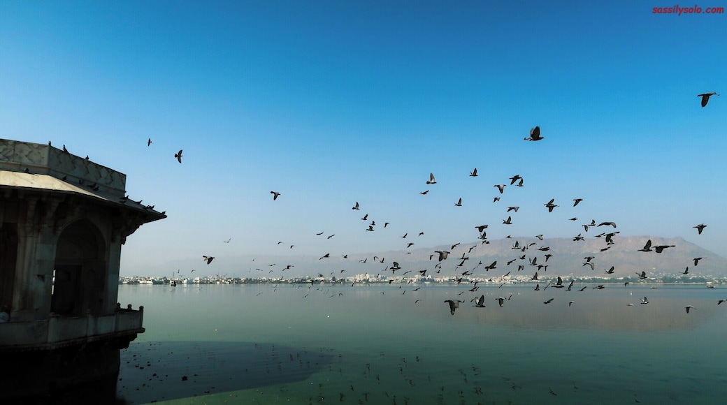 What not to miss when in Ajmer ....... a long walk beside the Anasagar Lake....