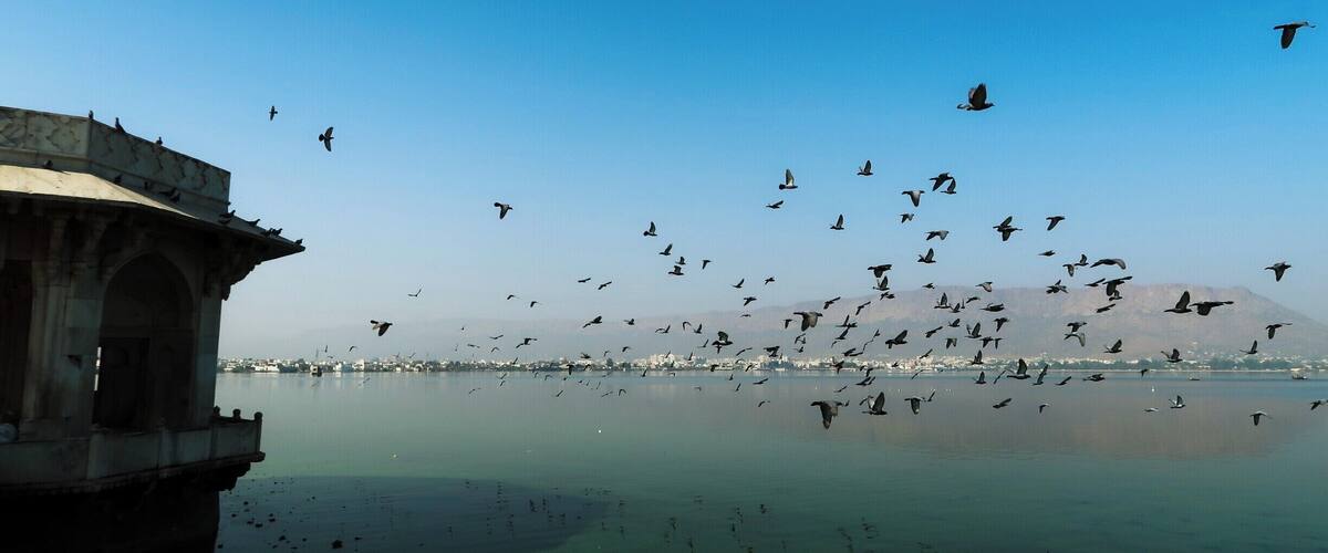 What not to miss when in Ajmer ....... a long walk beside the Anasagar Lake....