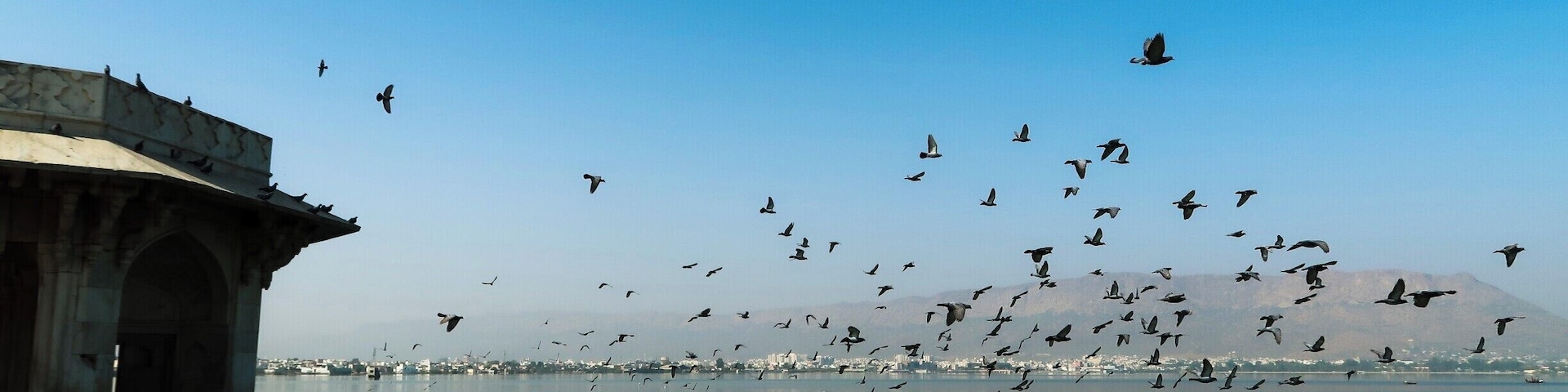 What not to miss when in Ajmer ....... a long walk beside the Anasagar Lake....