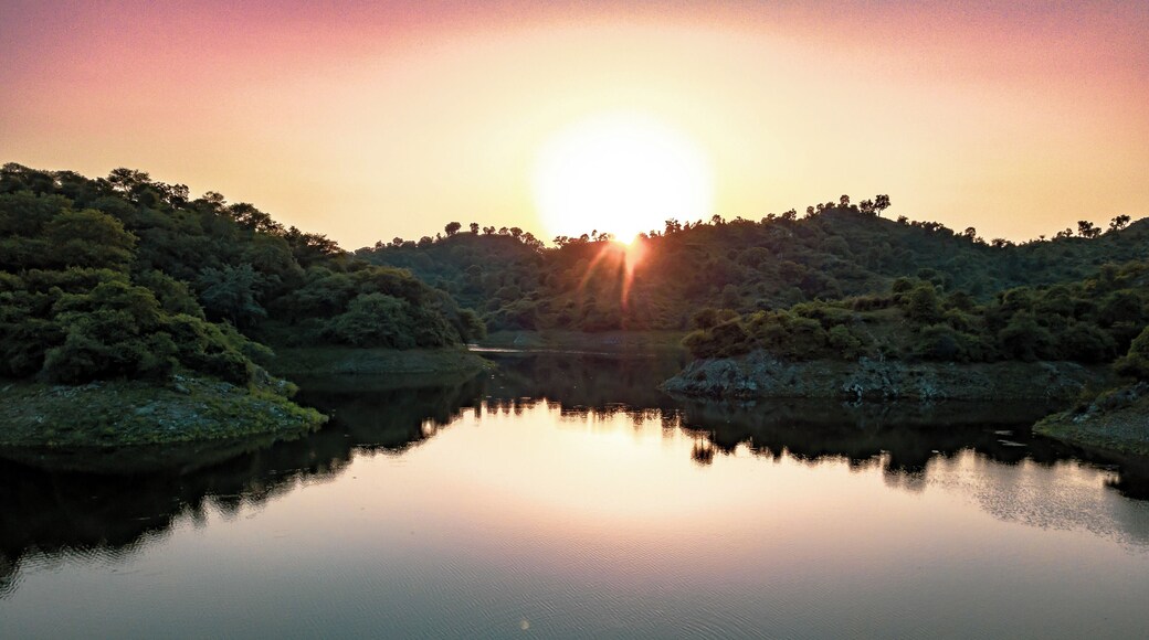 Explore the hidden treasures of the mystic river. Explore the very iconic river of Ranakpur as you embark upon the tour passing by the wilderness trails witnessing the varied flora & fauna. This tour by Ranakpur Adventures is a retreat for wildlife lovers.