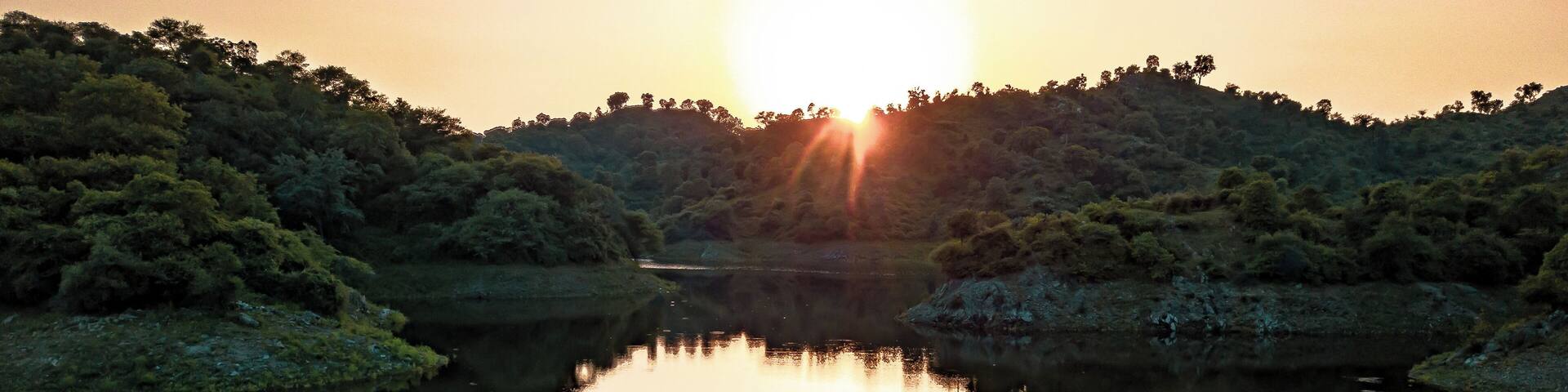 Explore the hidden treasures of the mystic river. Explore the very iconic river of Ranakpur as you embark upon the tour passing by the wilderness trails witnessing the varied flora & fauna. This tour by Ranakpur Adventures is a retreat for wildlife lovers.