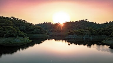 Explore the hidden treasures of the mystic river. Explore the very iconic river of Ranakpur as you embark upon the tour passing by the wilderness trails witnessing the varied flora & fauna. This tour by Ranakpur Adventures is a retreat for wildlife lovers.