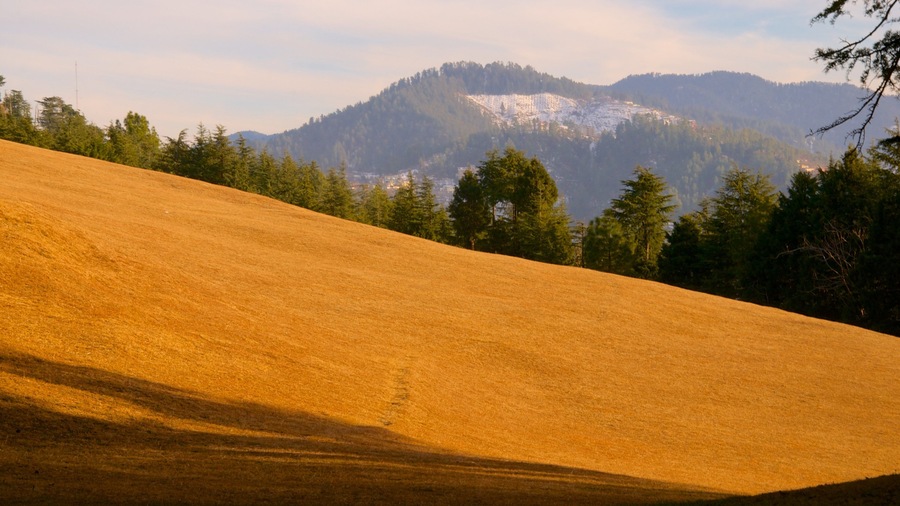 Shimla featuring tranquil scenes