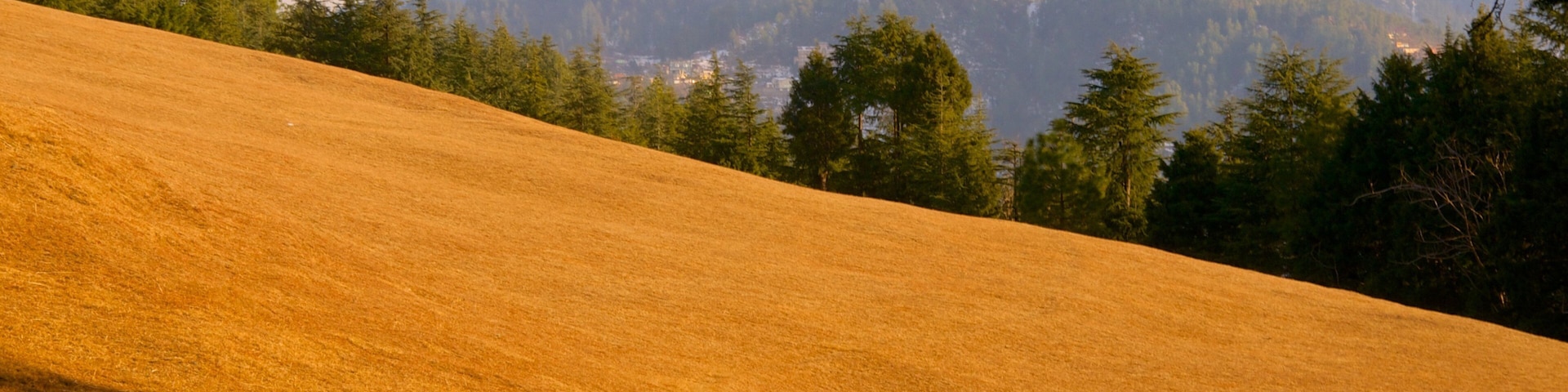 Shimla which includes tranquil scenes