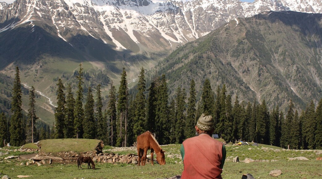 A hike in the mountains in the Kashmir region of India.