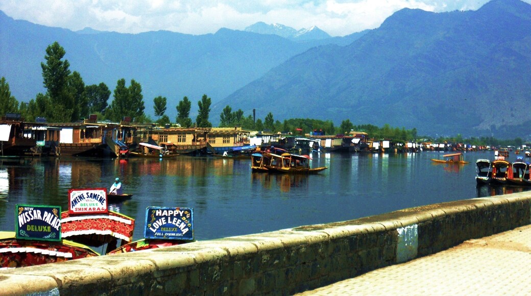 Kashmir needs no introduction; just another name for "Heaven"😉
#Dallake#kashmir#india#travelbazzinga#trovertips