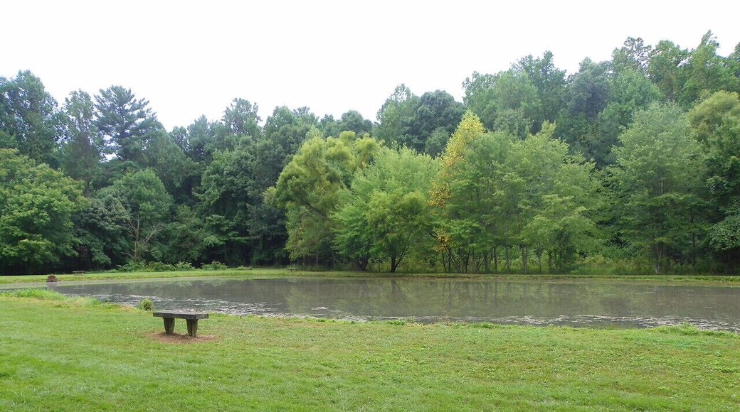 The Appalachian community makes the most out of what they are given and I believe that this photo illustrates that pretty well. Imagine a kid fishing in this pond with his father. One stereotype that is made about the Appalachian region is that we have nothing to do around here, but the citizens who live in the area disagree because when they look at this picture they do not just see a pond, they see a place to fish, swim, feed ducks, or just sit and take in the beauty that is the Appalachian Mountains.
#appalachianechoes