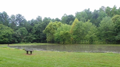 The Appalachian community makes the most out of what they are given and I believe that this photo illustrates that pretty well. Imagine a kid fishing in this pond with his father. One stereotype that is made about the Appalachian region is that we have nothing to do around here, but the citizens who live in the area disagree because when they look at this picture they do not just see a pond, they see a place to fish, swim, feed ducks, or just sit and take in the beauty that is the Appalachian Mountains.
#appalachianechoes
