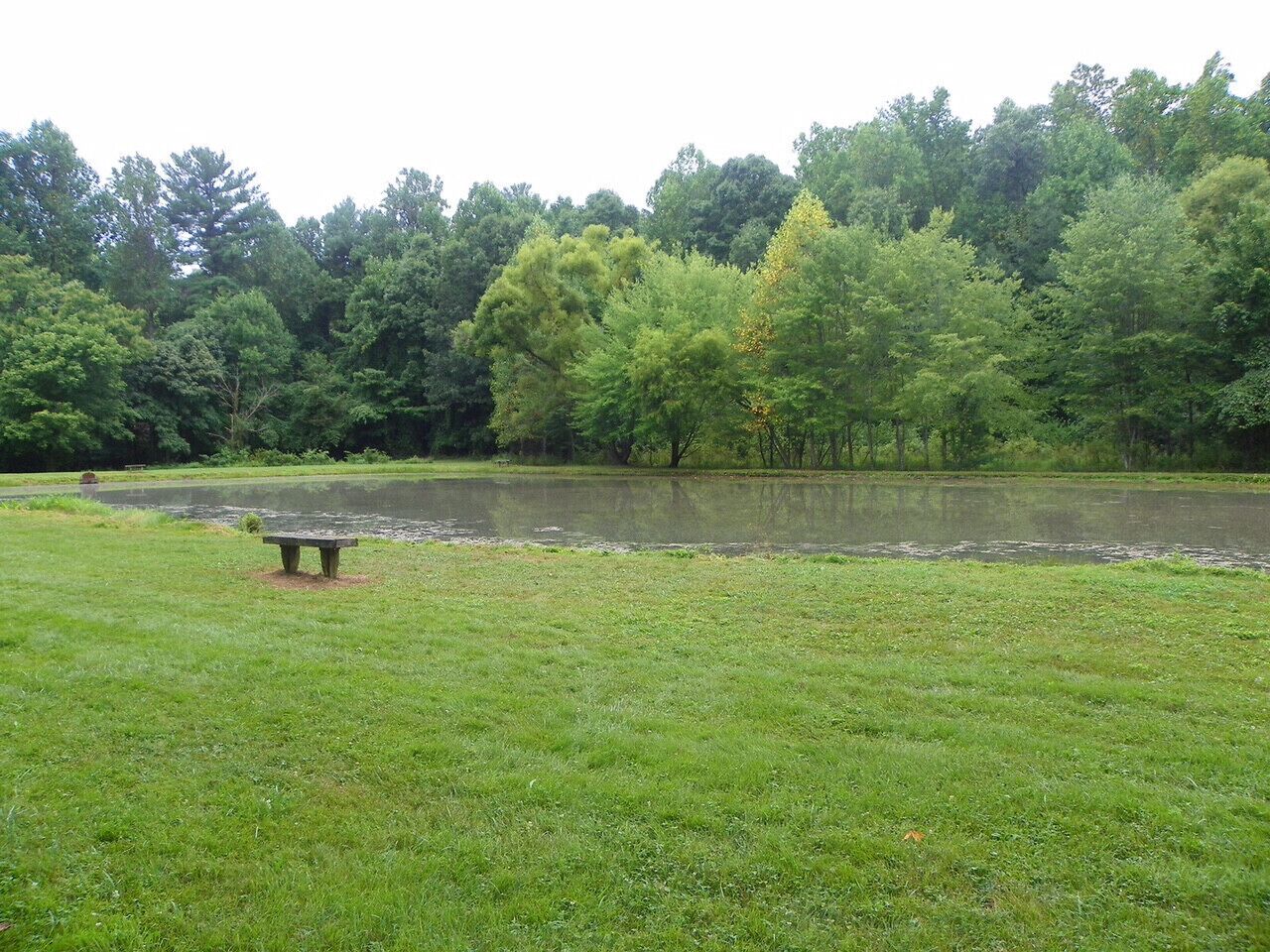 A grassy area with a bench near a body of water surrounded by trees.